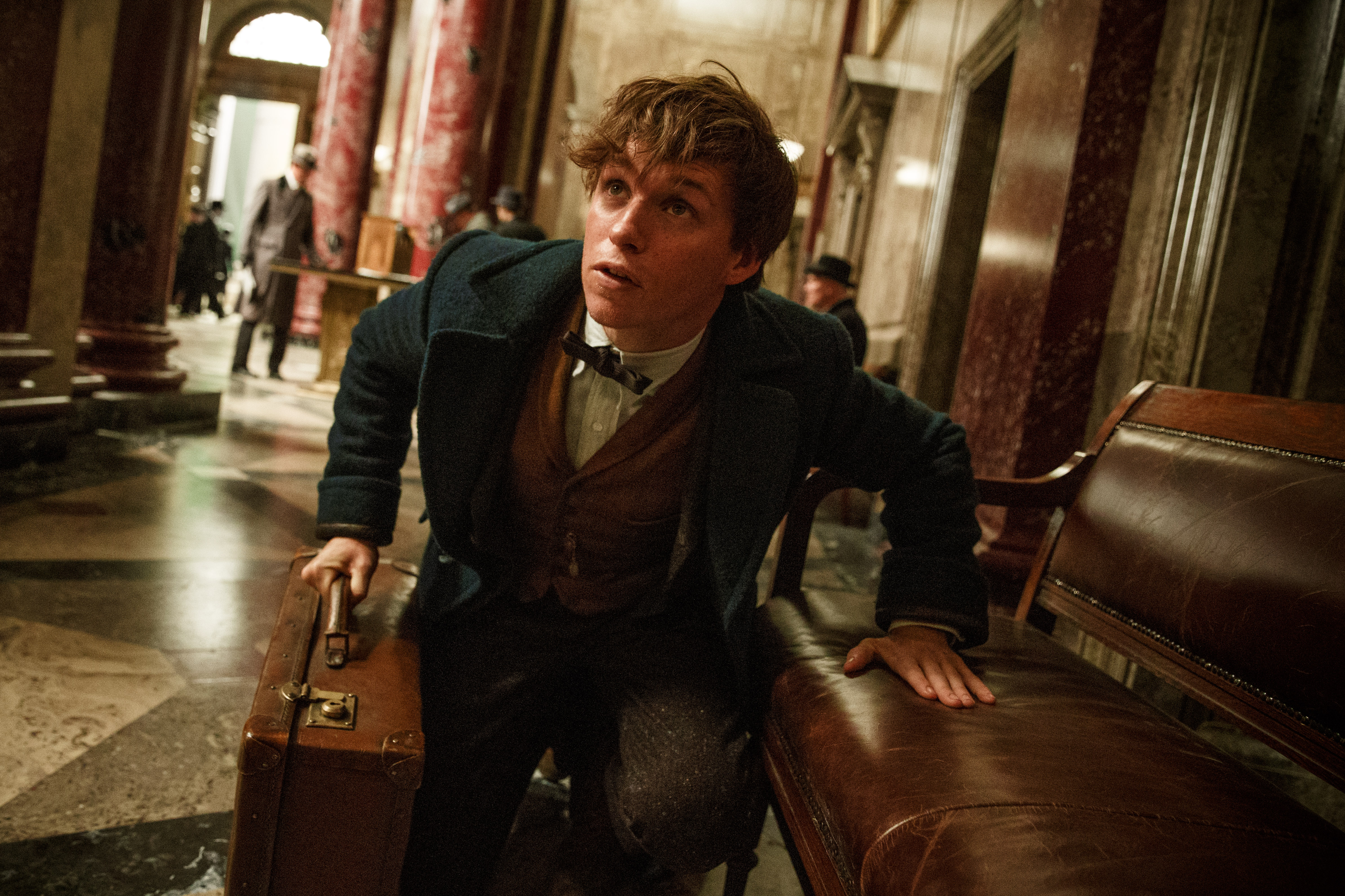 Nice Images Collection: Fantastic Beasts And Where To Find Them Desktop Wallpapers