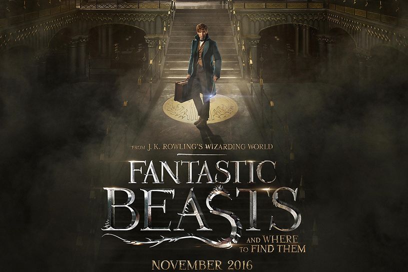 Fantastic Beasts And Where To Find Them #7