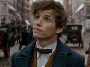 Fantastic Beasts And Where To Find Them Backgrounds on Wallpapers Vista