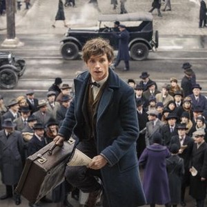 Fantastic Beasts And Where To Find Them #3