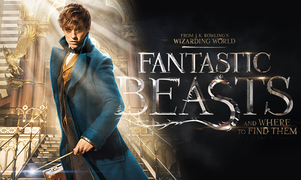 Fantastic Beasts And Where To Find Them #9