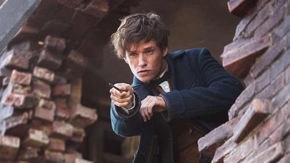 1000x562 > Fantastic Beasts And Where To Find Them Wallpapers