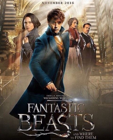 HQ Fantastic Beasts And Where To Find Them Wallpapers | File 60.02Kb