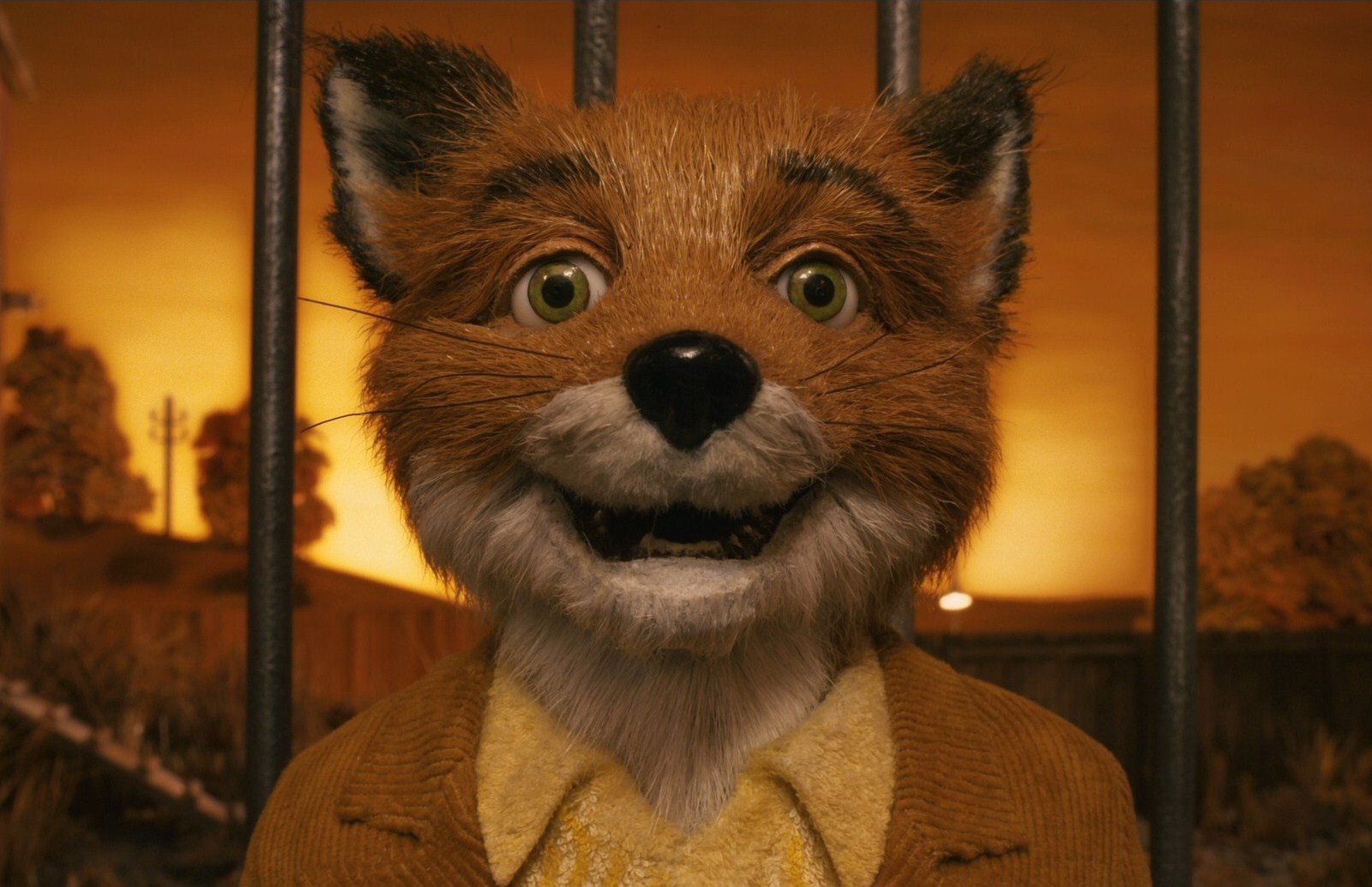 Fantastic Mr. Fox High Quality Background on Wallpapers Vista