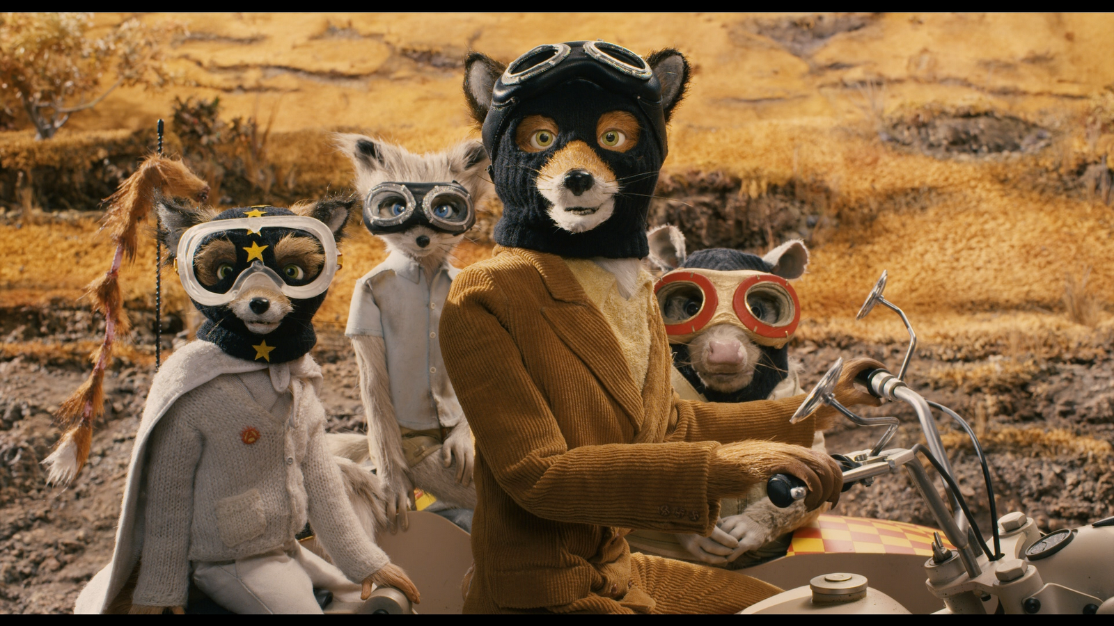 Fantastic Mr. Fox Pics, Movie Collection