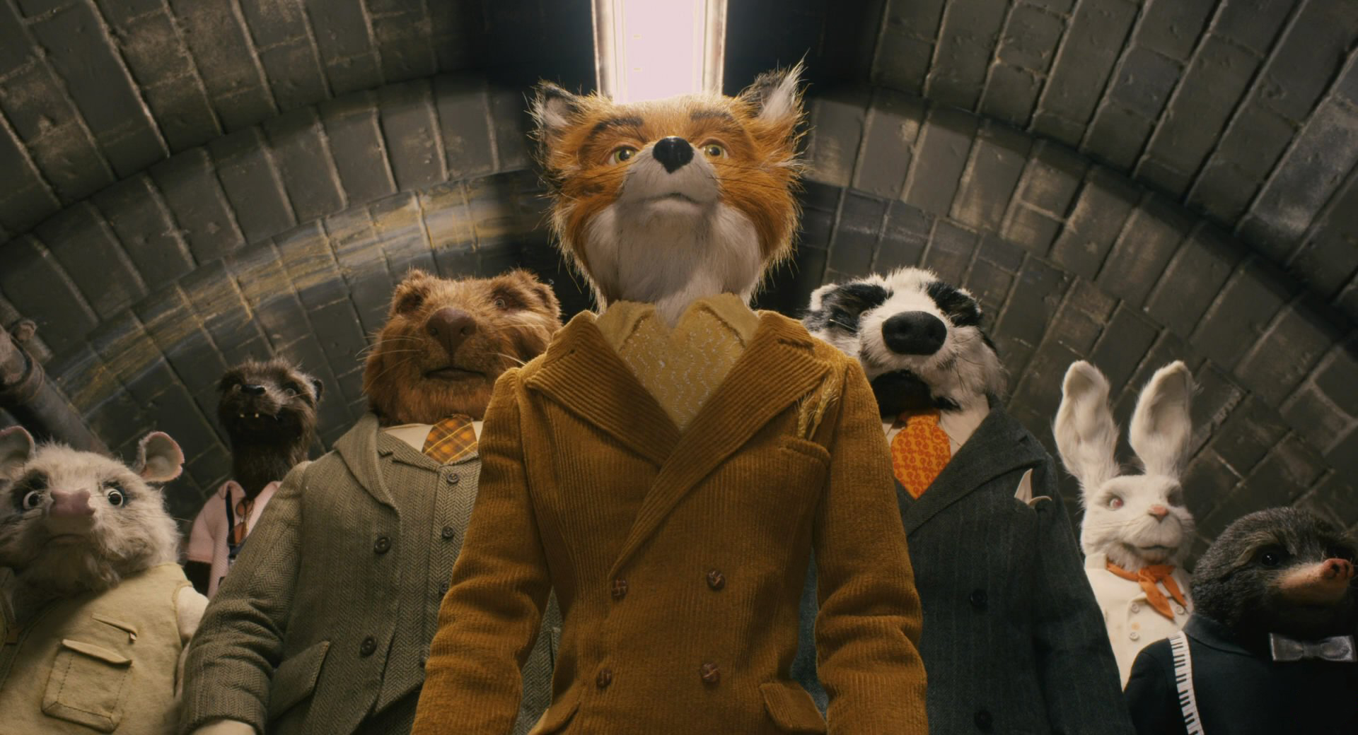 HD Quality Wallpaper | Collection: Movie, 1920x1040 Fantastic Mr. Fox