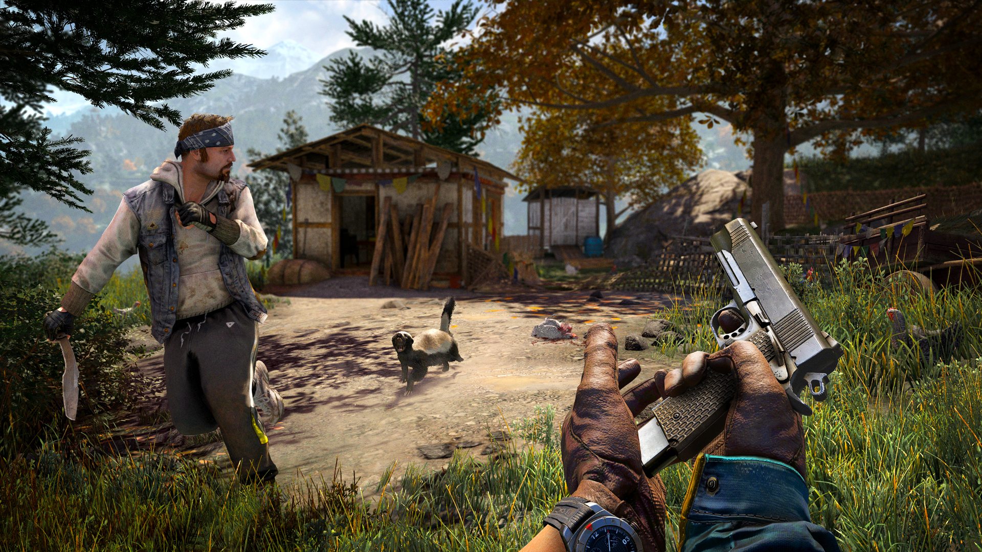 Far Cry 4 HD wallpapers, Desktop wallpaper - most viewed