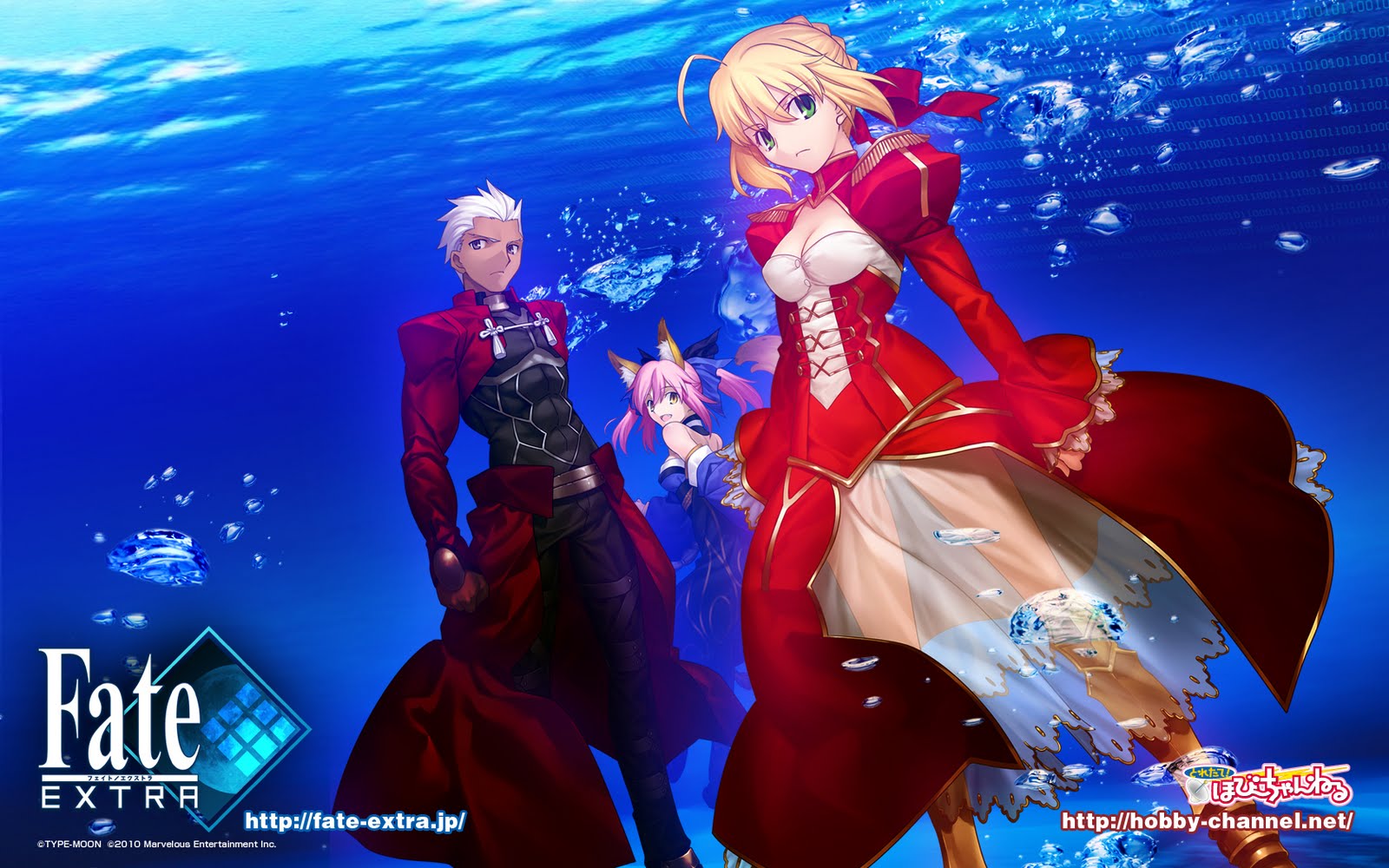 Nice wallpapers Fate Extra 1600x1000px
