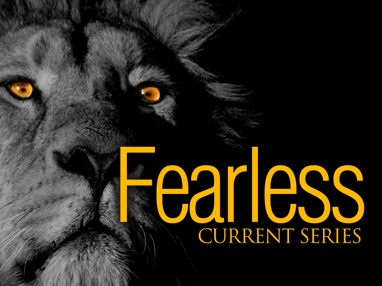Fearless Backgrounds, Compatible - PC, Mobile, Gadgets| 1600x1200 px