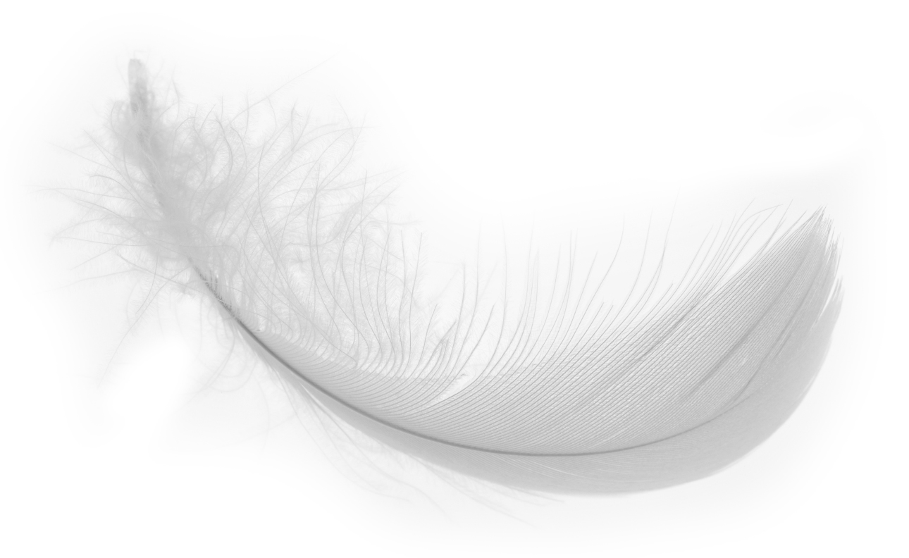 HD Quality Wallpaper | Collection: Artistic, 1290x792 Feather