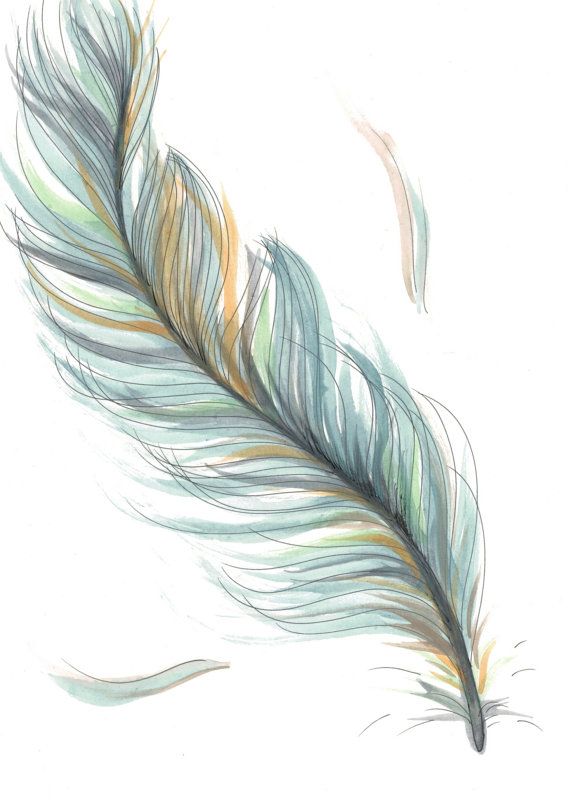 Feather Backgrounds, Compatible - PC, Mobile, Gadgets| 570x800 px