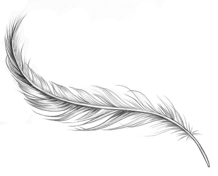 HQ Feather Wallpapers | File 65.89Kb