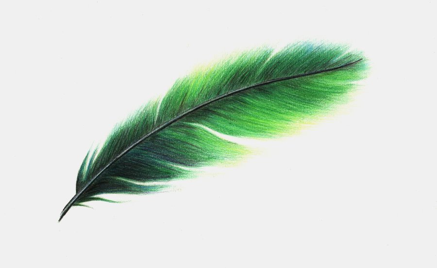 900x553 > Feather Wallpapers
