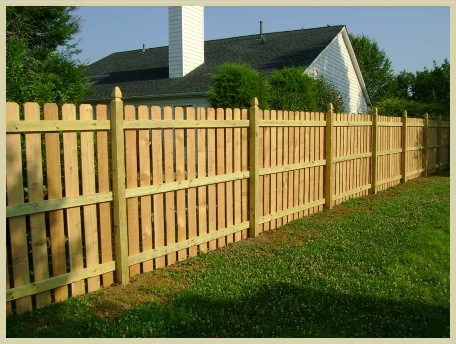 Fence #3