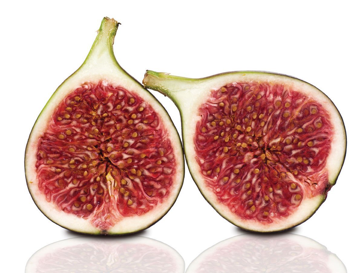 Fig #23