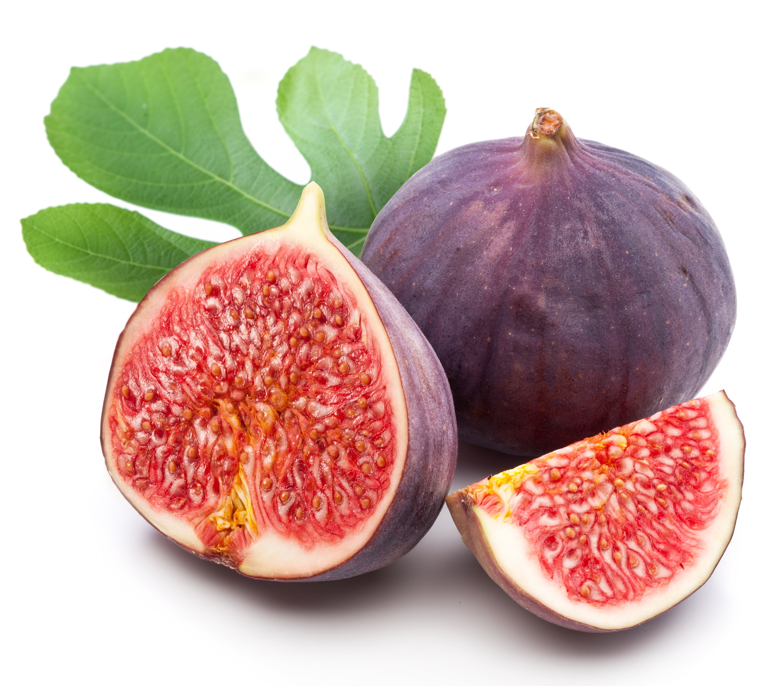 Fig #16