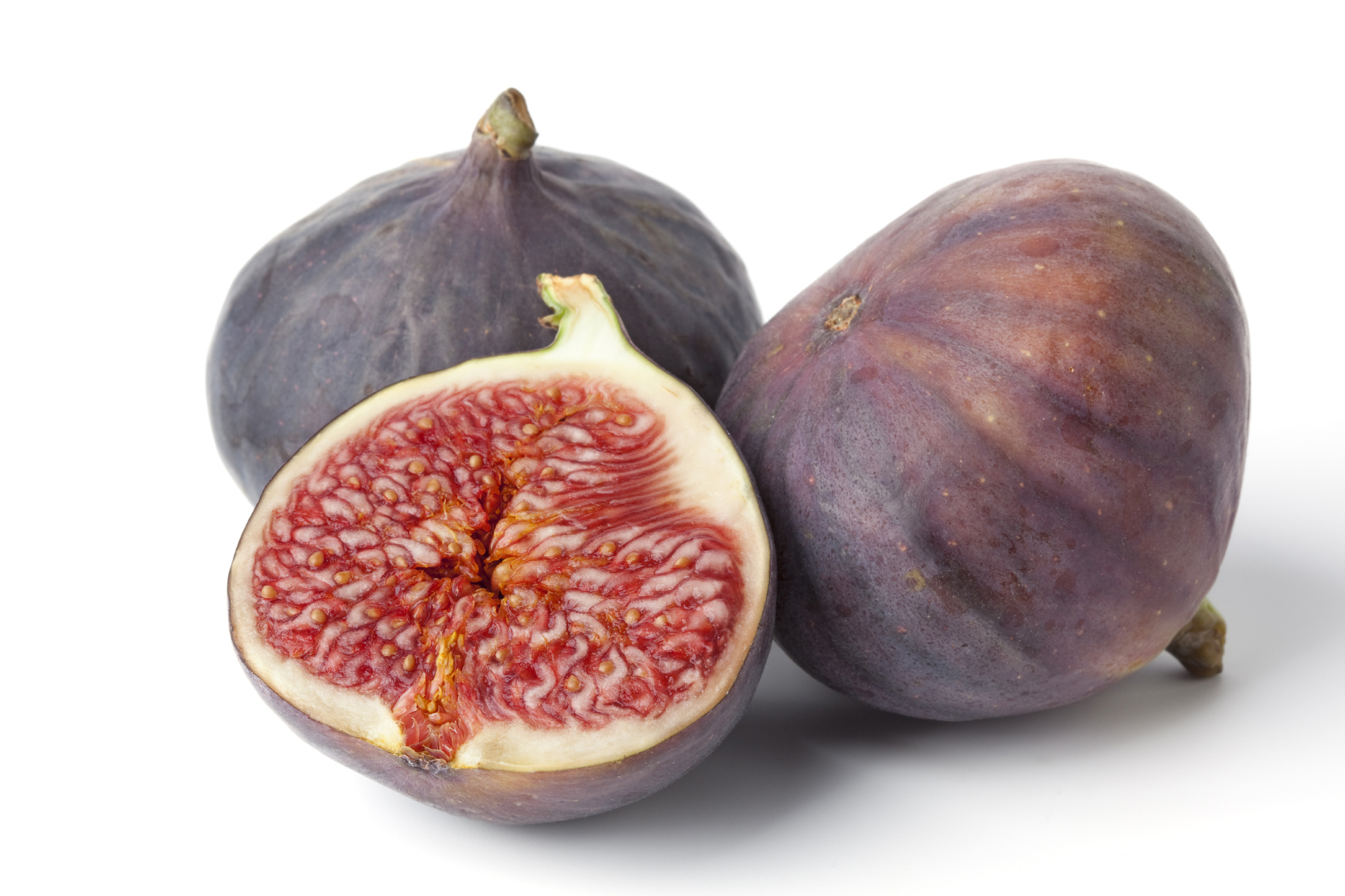 Fig #20