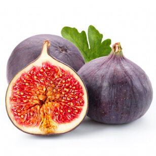Fig #7