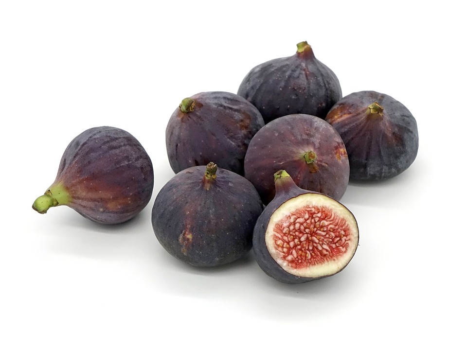 Fig #1