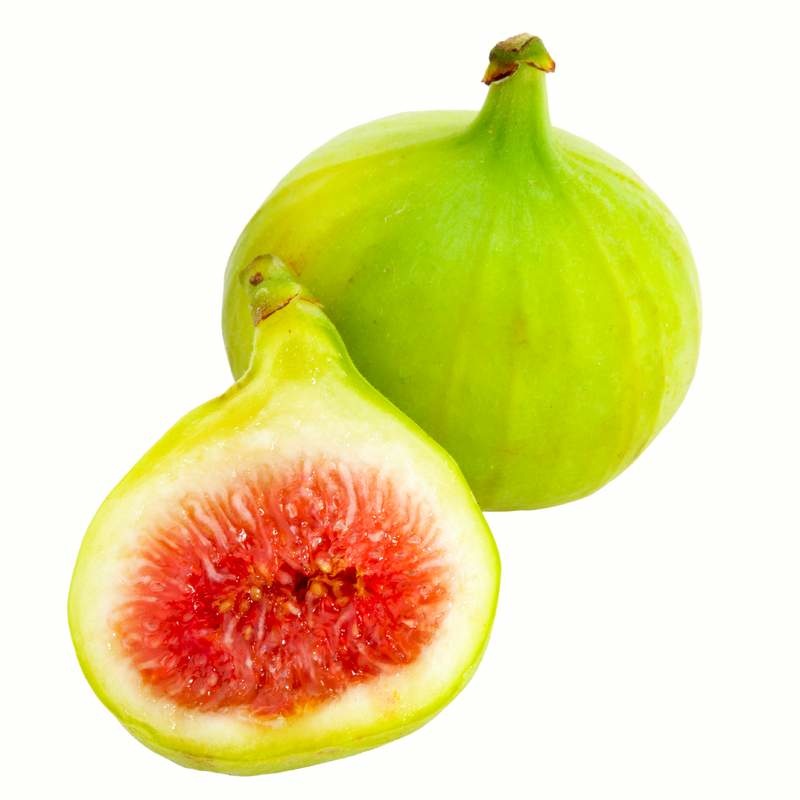 Fig #2