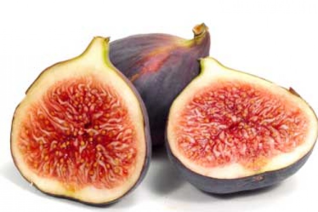 Fig #12