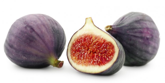 Fig #4
