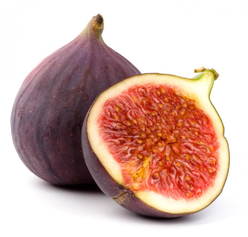 Fig #8
