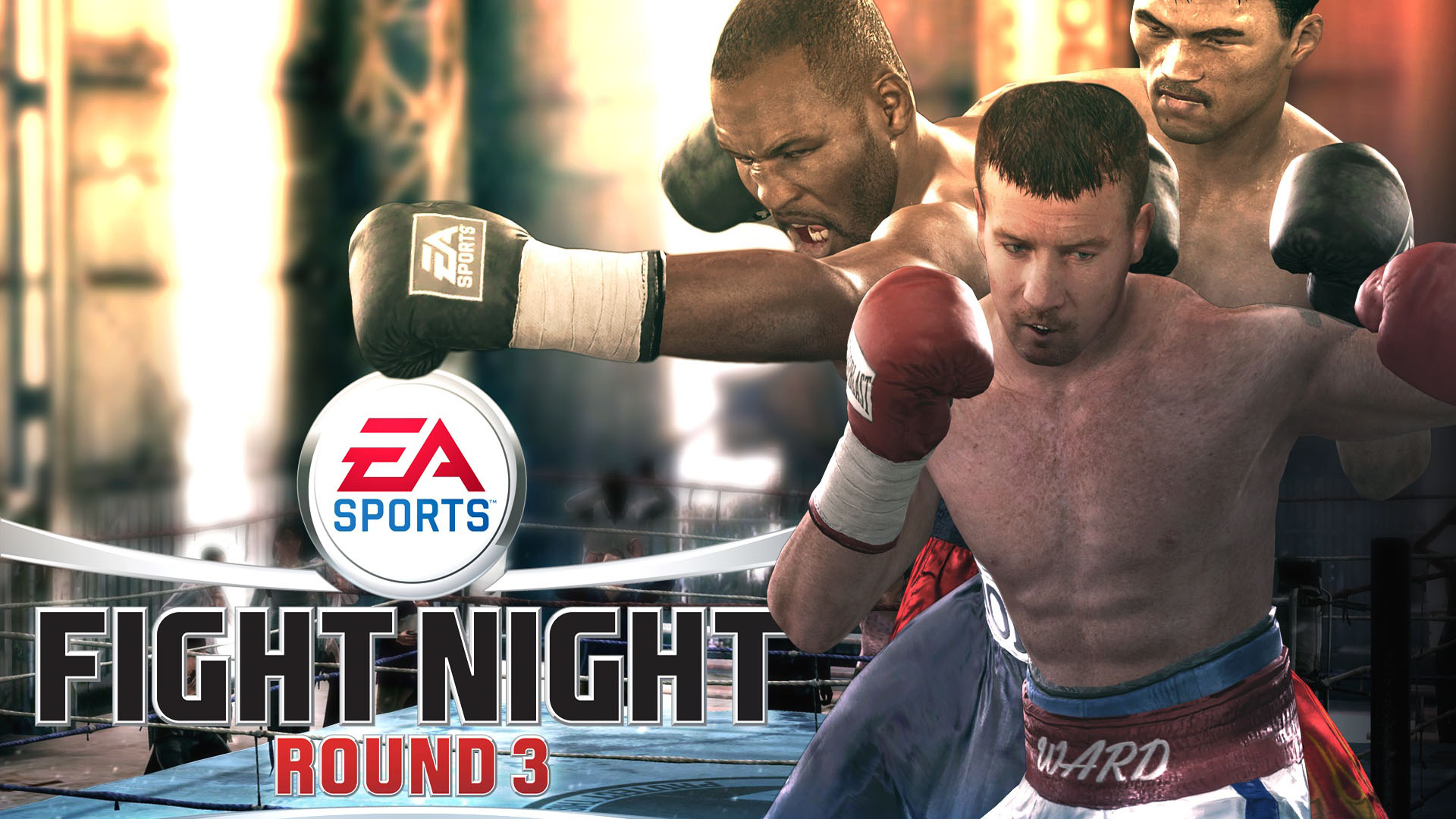Nice Images Collection: Fight Night Round 3 Desktop Wallpapers
