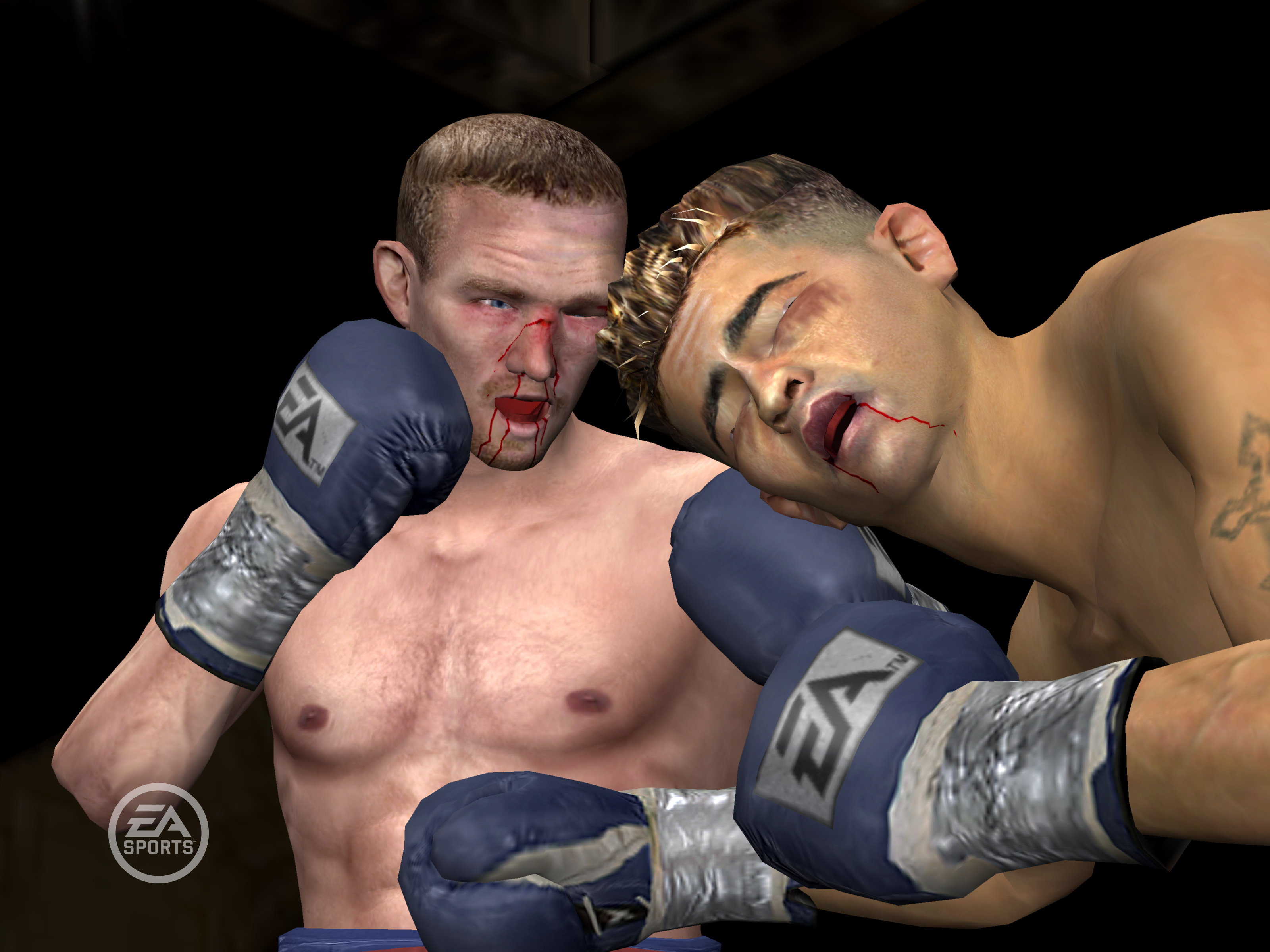 Fight Night Round 3 Pics, Video Game Collection