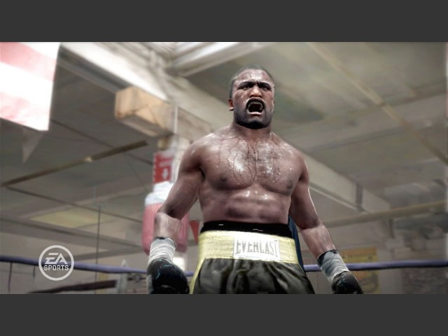 Fight Night Round 3 Backgrounds, Compatible - PC, Mobile, Gadgets| 640x480 px