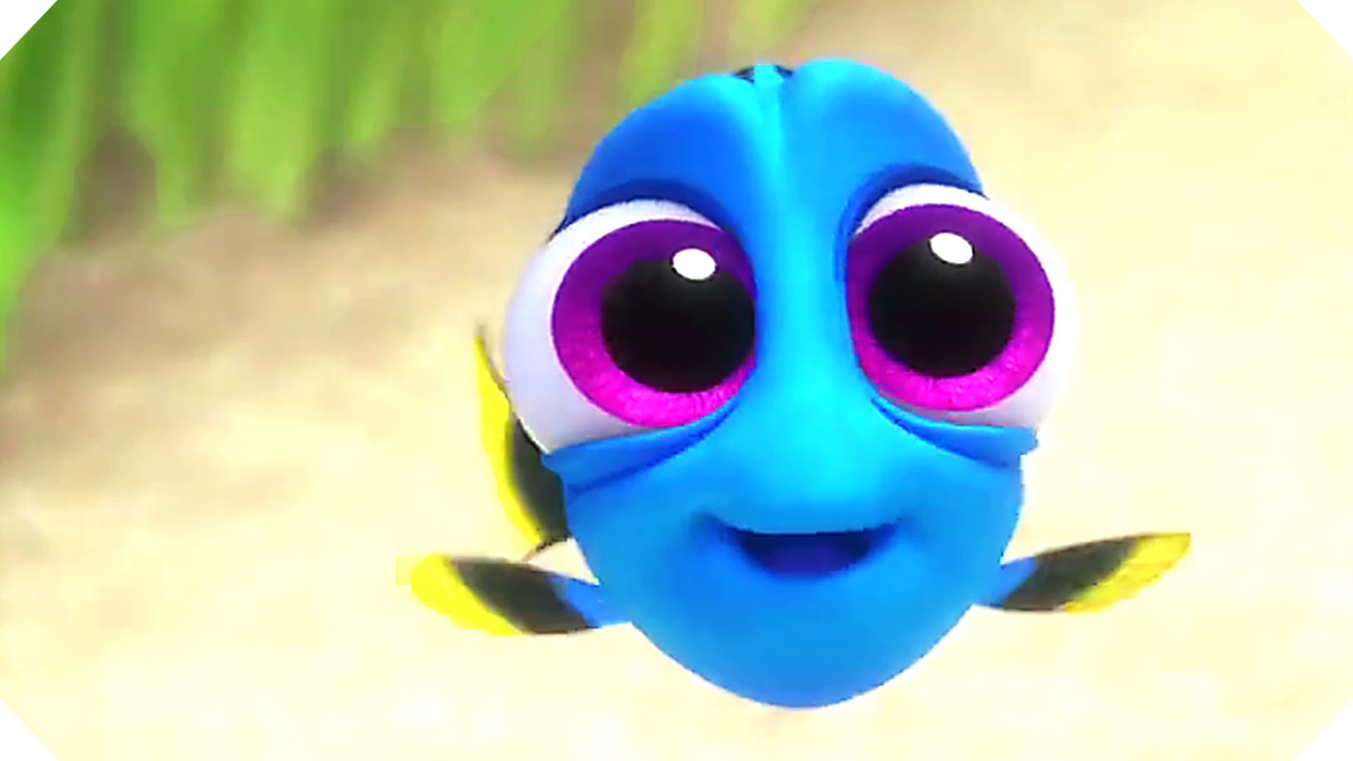 Finding Dory #23