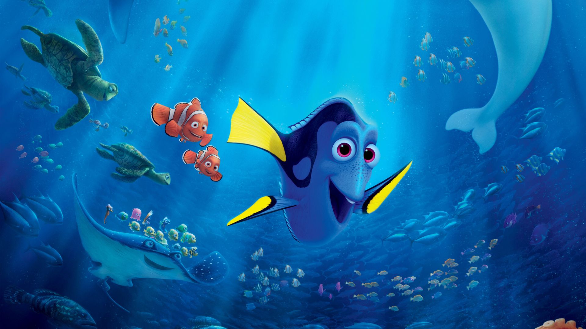 Finding Dory #20