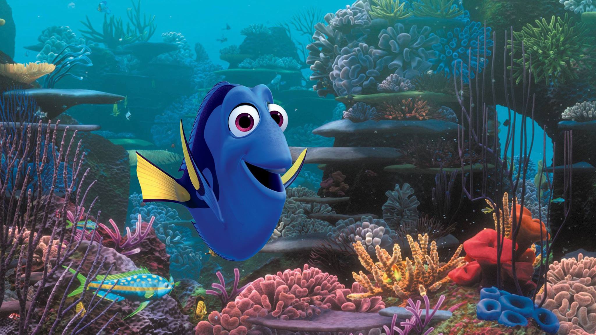 Finding Dory #17