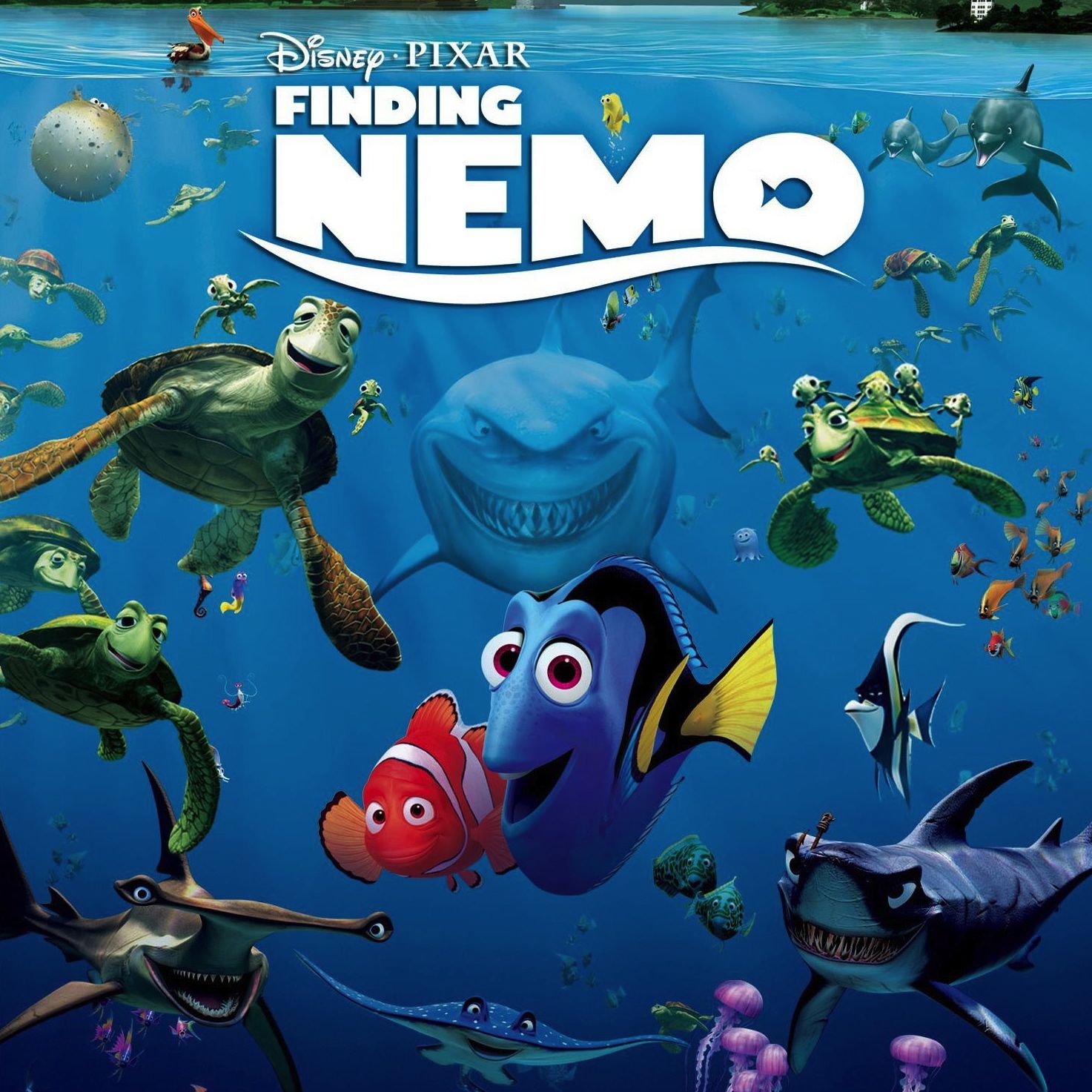 Finding Nemo #24