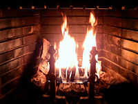 Images of Fireplace | 200x150