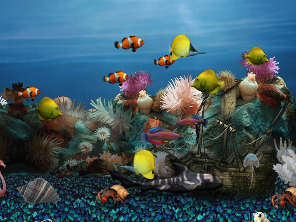 Fish Tank #3