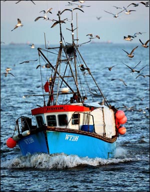 Images of Fishing Boat | 300x383