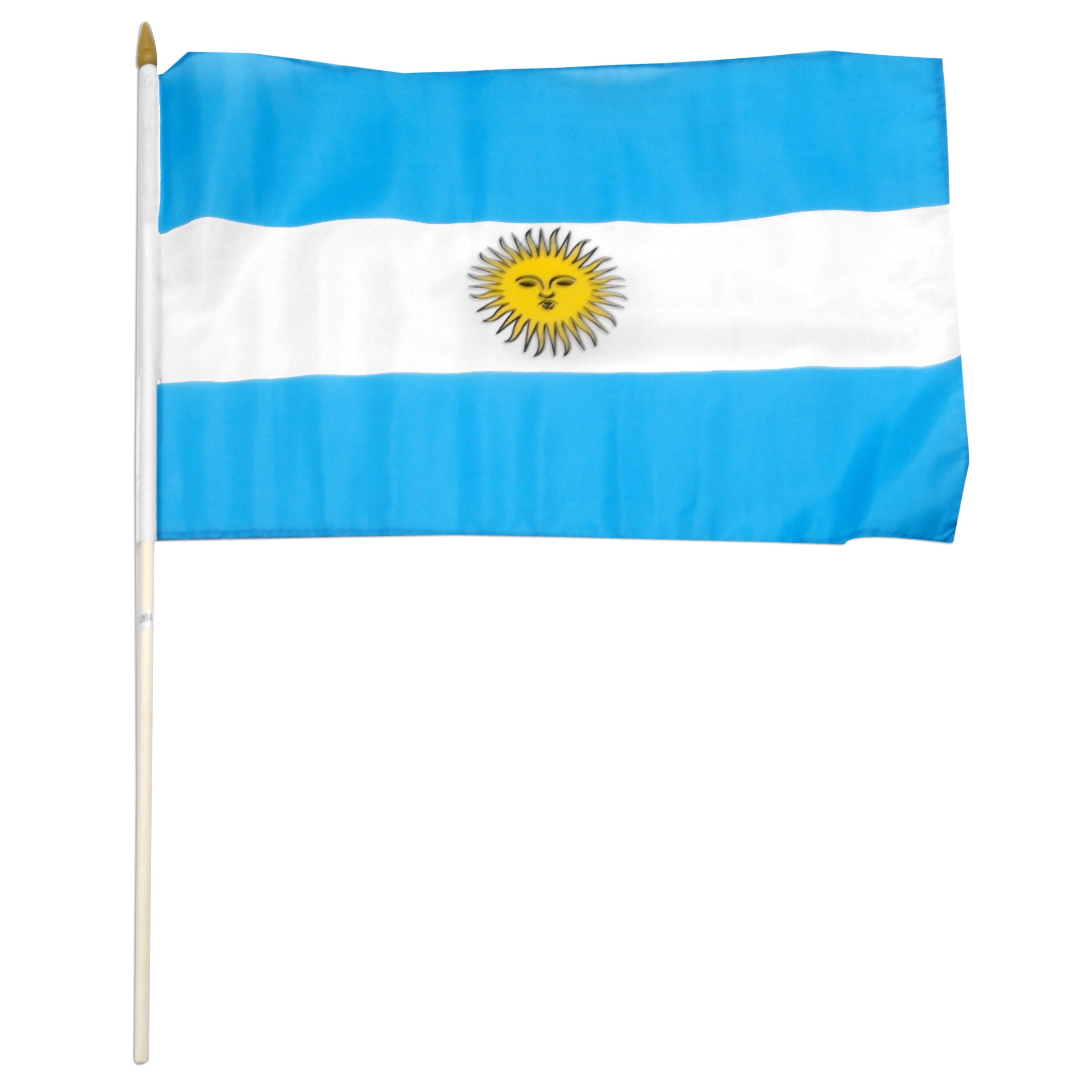 Flag Of Argentina #4