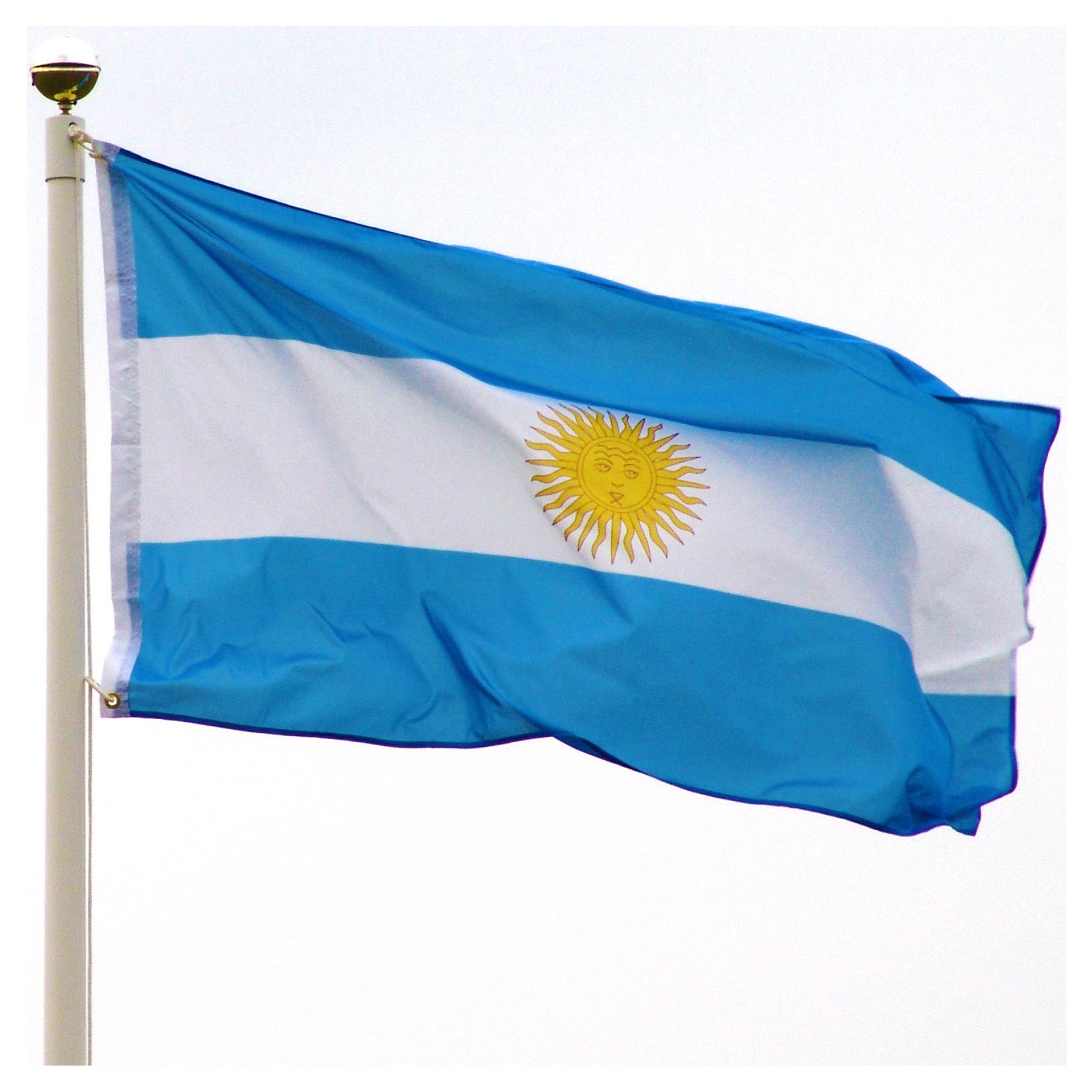 Flag Of Argentina #5