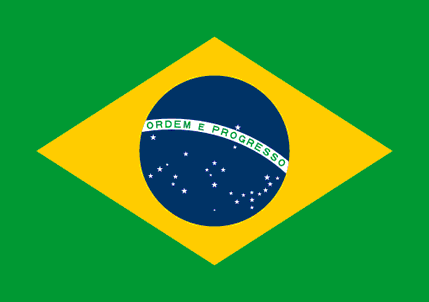 Flag Of Brazil #12