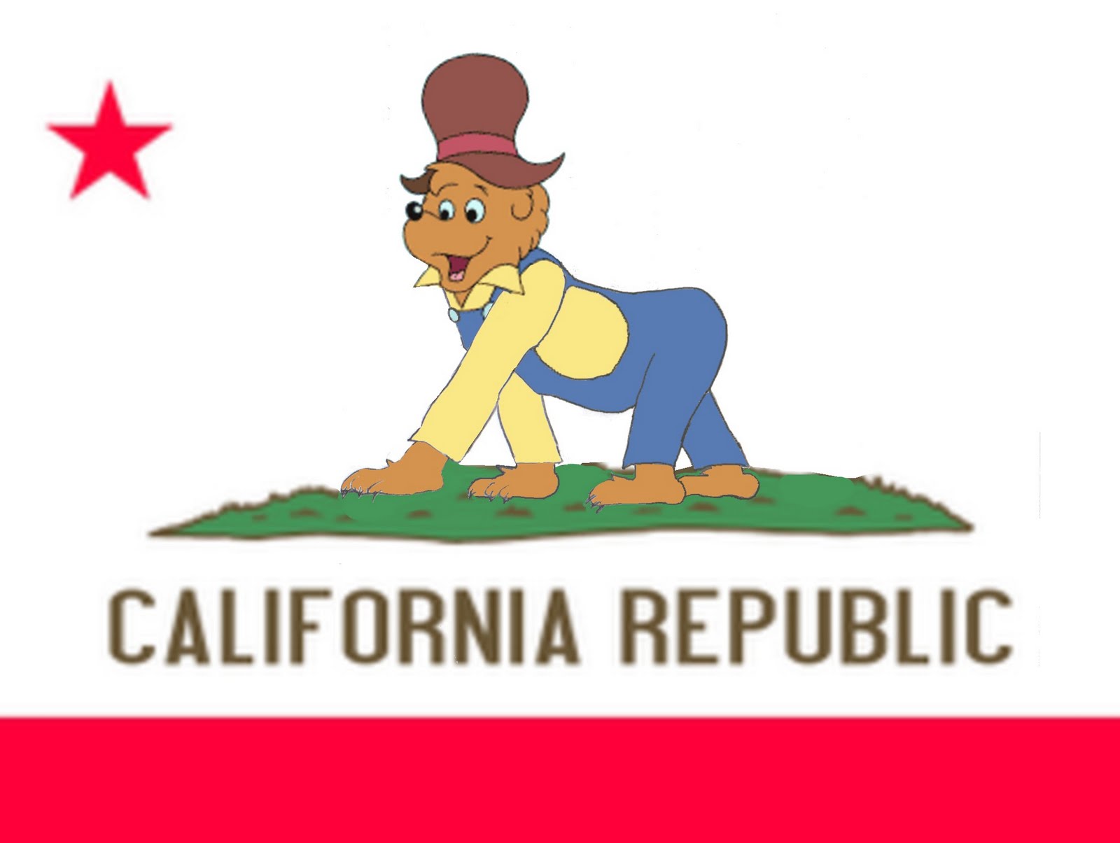 Flag Of California #3