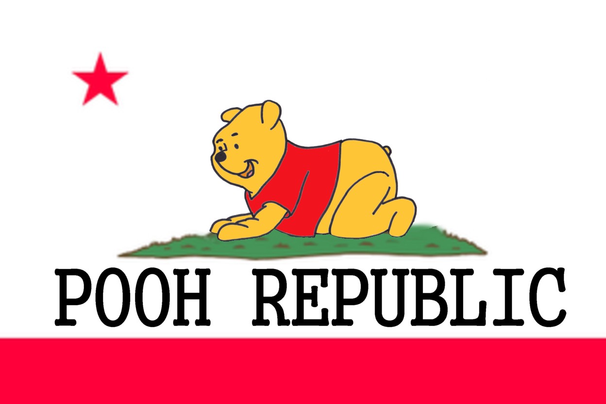 Flag Of California #5
