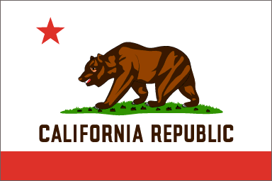 Flag Of California #11