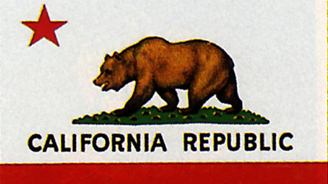 Flag Of California #24