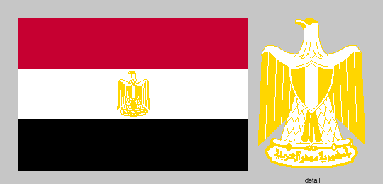 Flag Of Egypt #1