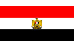 Flag Of Egypt #8