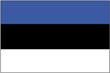 Flag Of Estonia #9