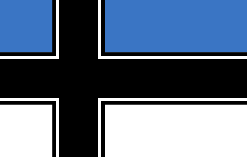 Flag Of Estonia #12