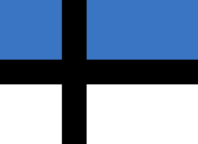 Flag Of Estonia #11