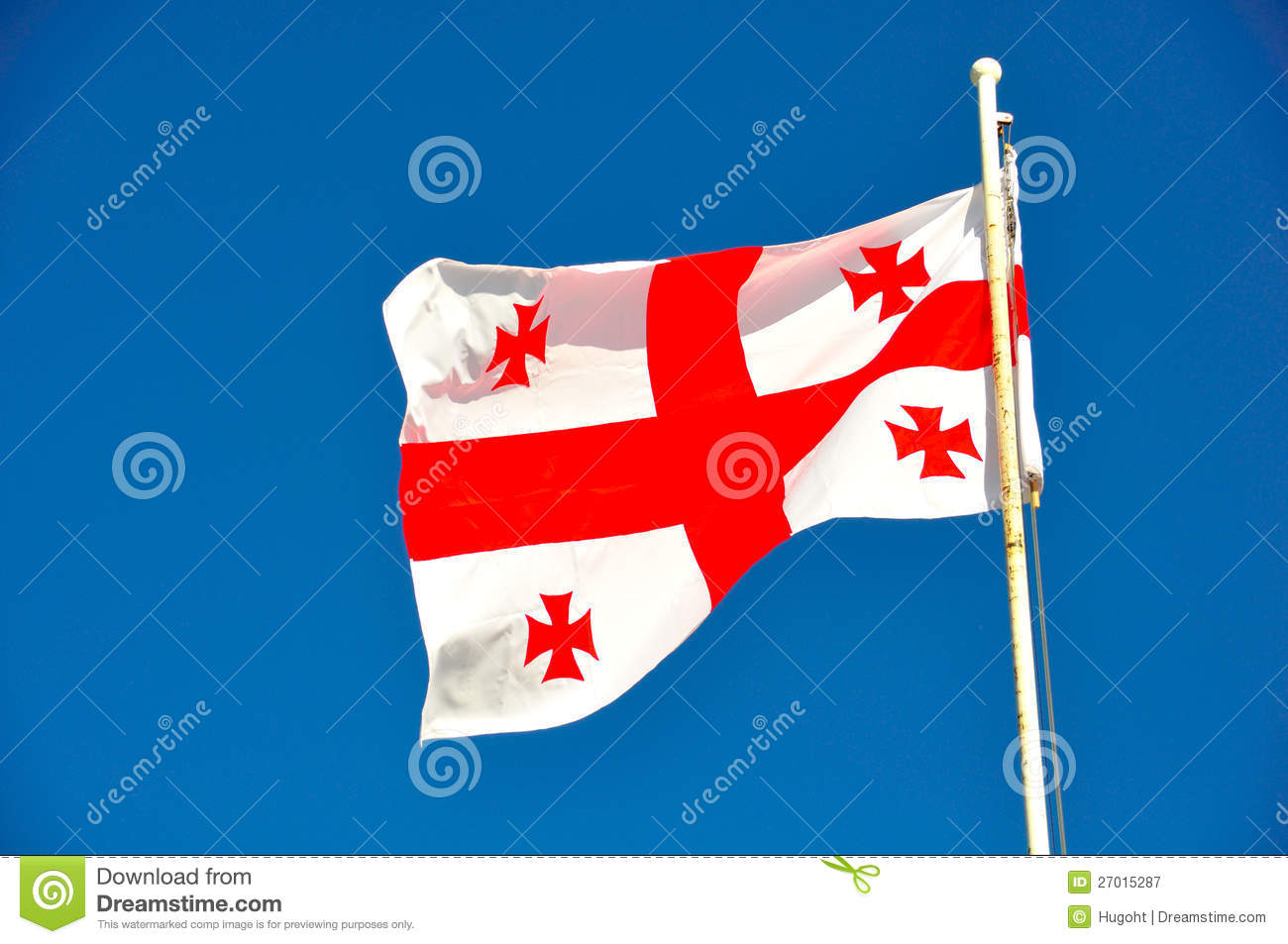Flag Of Georgia #2